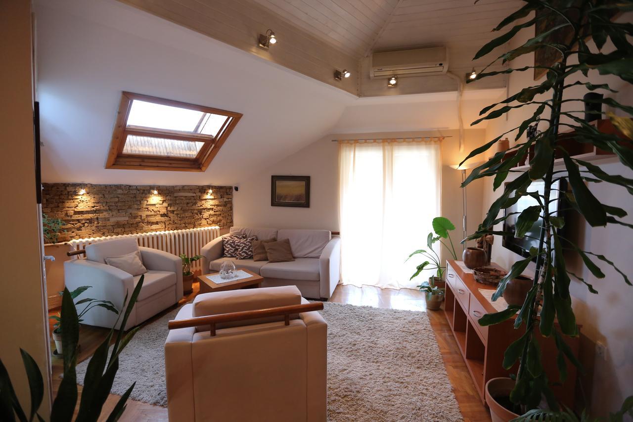נובי סאד Magic Apartment מראה חיצוני תמונה